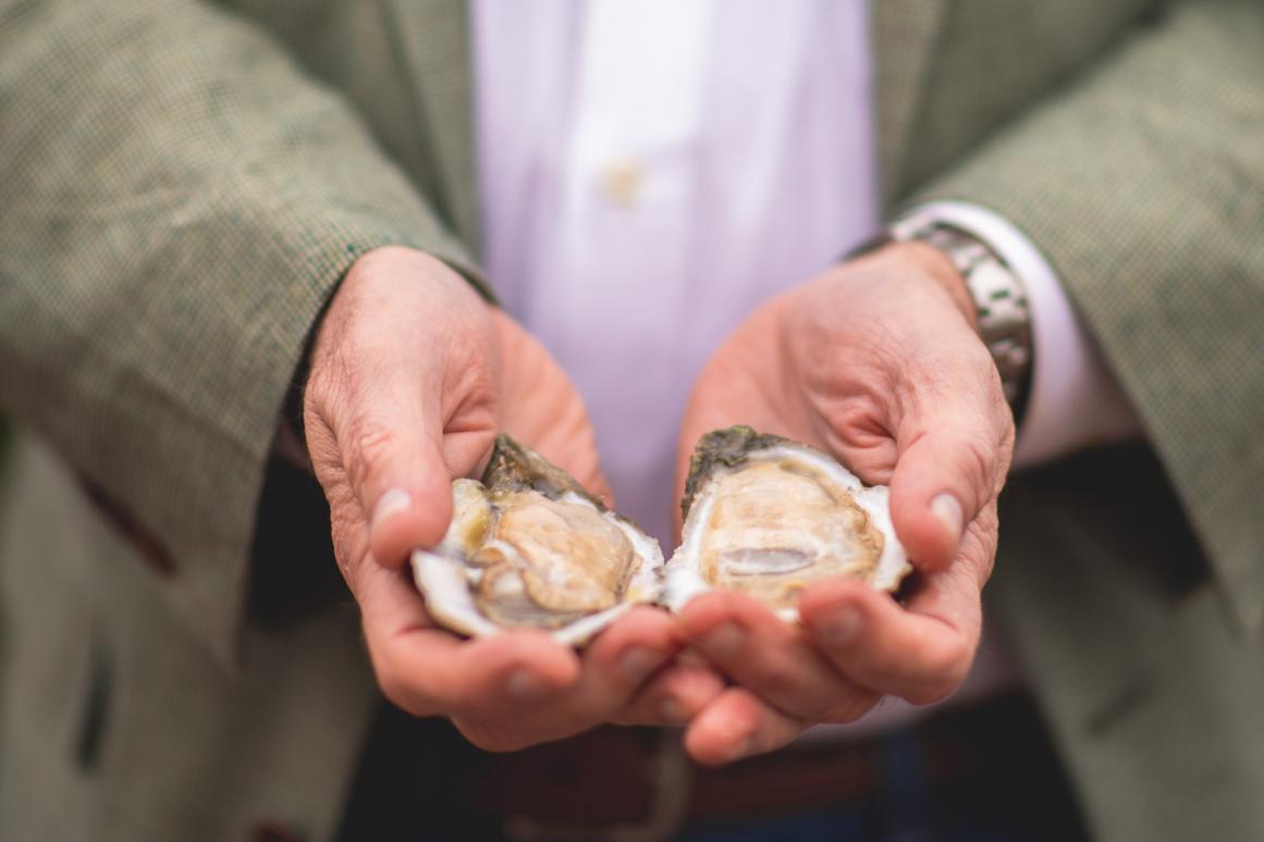 oyster hands