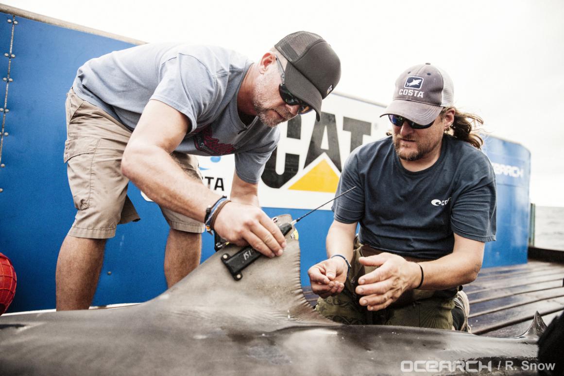 OCEARCH Expedition