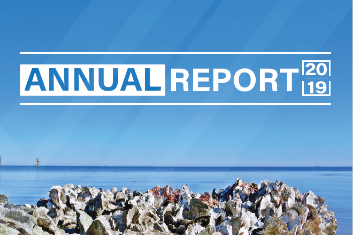 HRI 2019 Annual Report