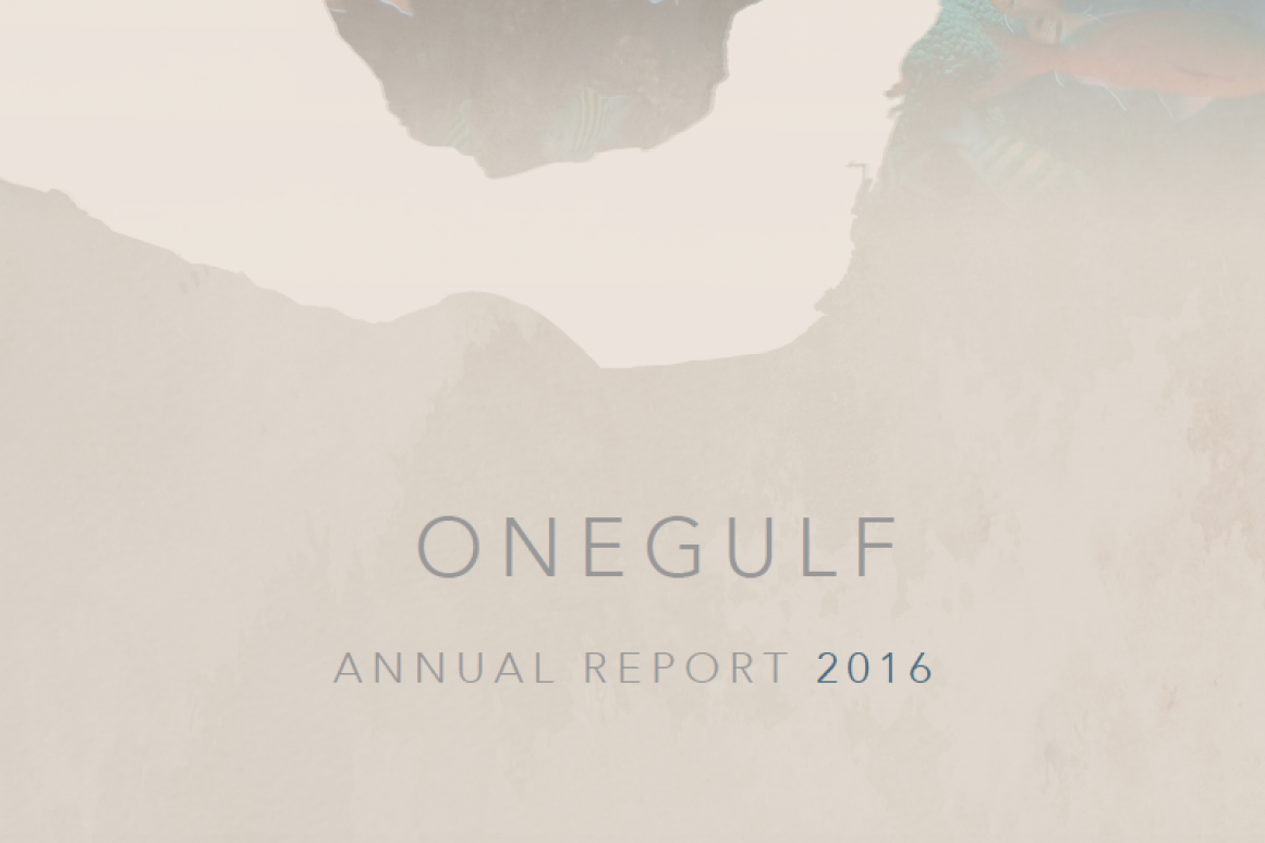 OneGulf Report