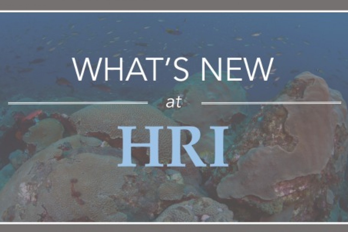 What's New at HRI