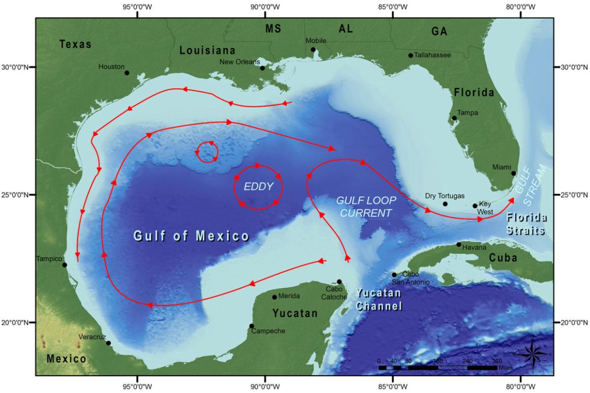 Gulf of Mexico currents
