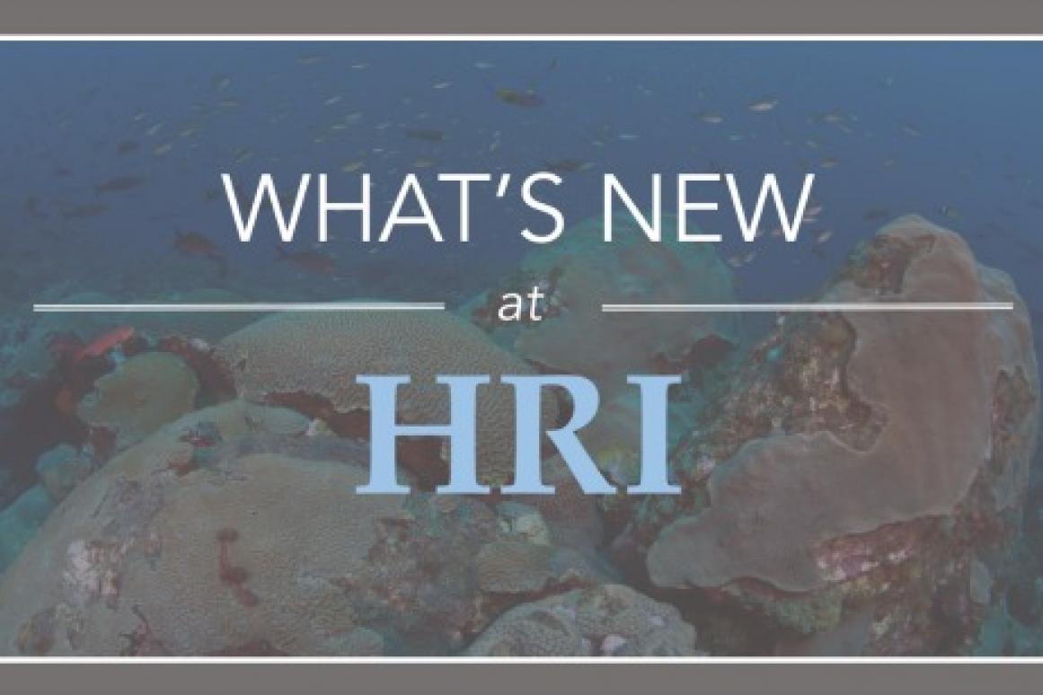 HRI Fall 2019 Newsletter