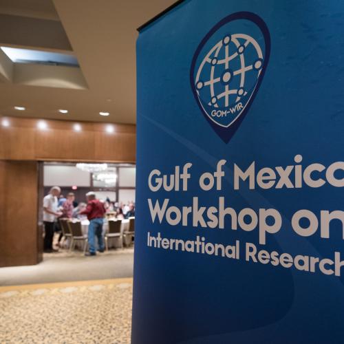  Gulf of Mexico Workshop on International Research
