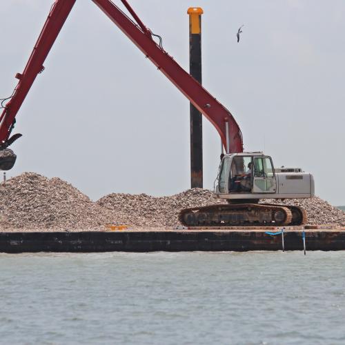 Oyster reef construction